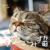 カレンダー2019 週めくりカレンダー なごみ猫 (ヤマケイカレンダー2019)