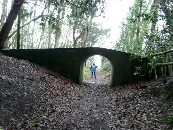 Dunwich fairy bridge