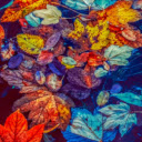 Autumn Leaves Chrome extension download