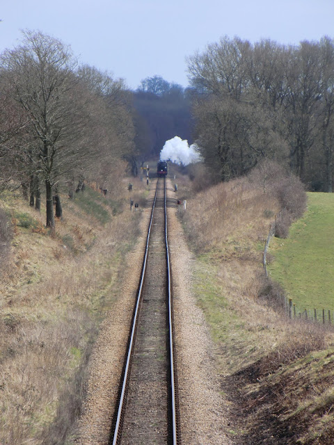 CIMG6168 Crossing the Bluebell Railway