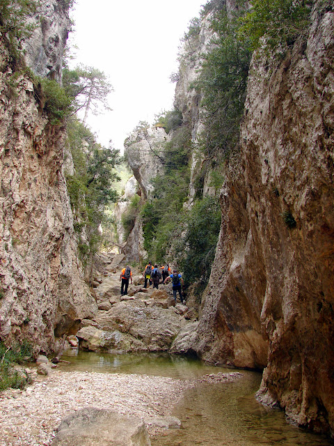 Senderismo - Coll de la Creu - Punta Boixet - Alt de la Coscollosa - Barranc de la Coscollosa