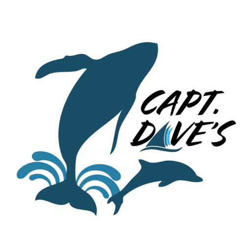 Capt Dave's Dolphin & Whale Watching Safari logo