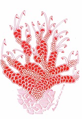 610 Zentangle Red Water Plants