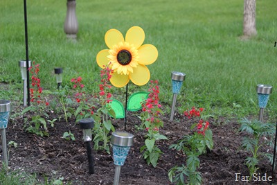 Solar Lights and flowers