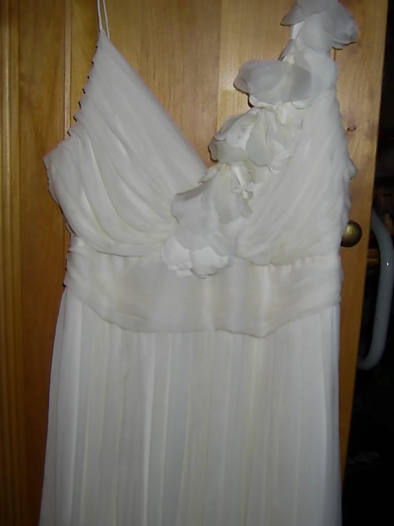 NWOT  895 J.CREW ORGANZA DUNE SILK IVORY WEDDING GOWN LONG DRESS 14 NWOT