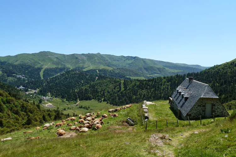 Le Cantal à pied - Le Tour du Volcan Cantalien - De Murat à Super-Lioran