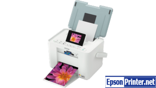 Reset Epson PM215 Waste Ink Counter overflow problem