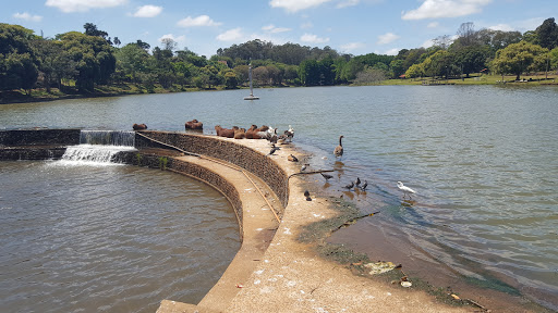 Horto Florestal Avaré, R. Pernambuco, s/n - Braz I, Avaré - SP, 18701-180, Brasil, Atração_Turística, estado Sao Paulo