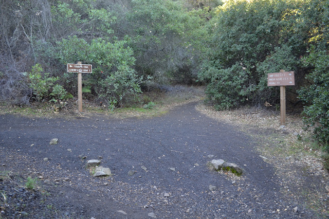 signs at the junction that don't indicate a junction