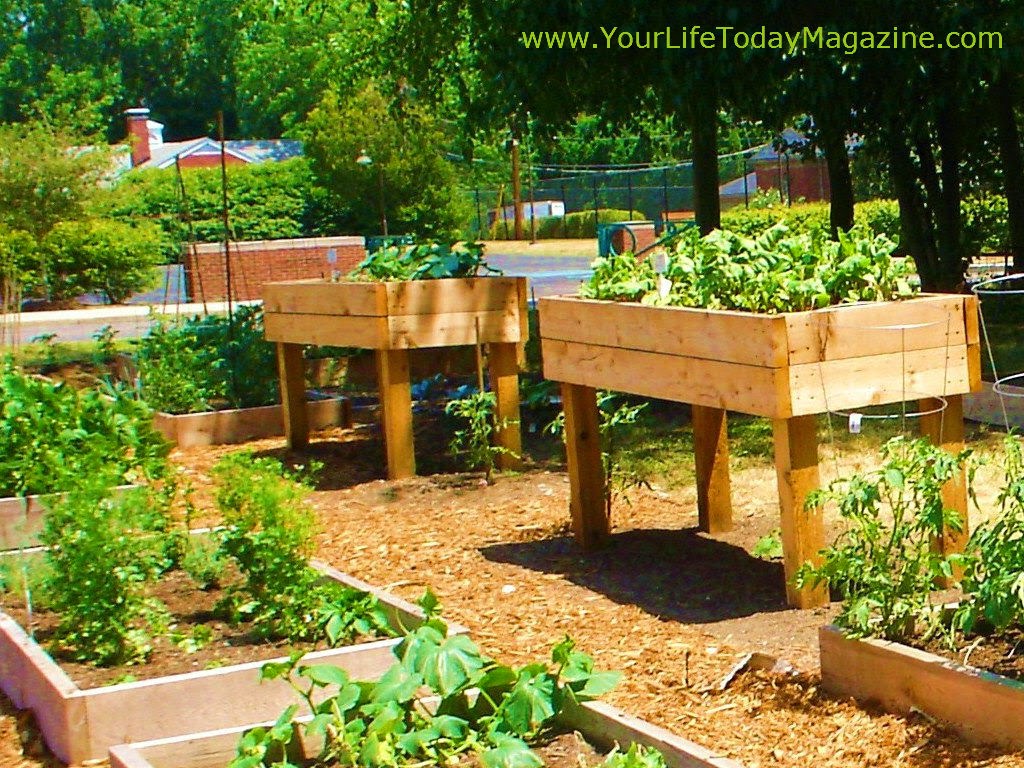 raised garden bed kits