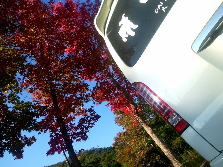 ハイエースバンの全国ちび箱連合会・大阪謝謝会・車検・紅葉と愛車・四條畷に関するカスタム事例の投稿画像4枚目