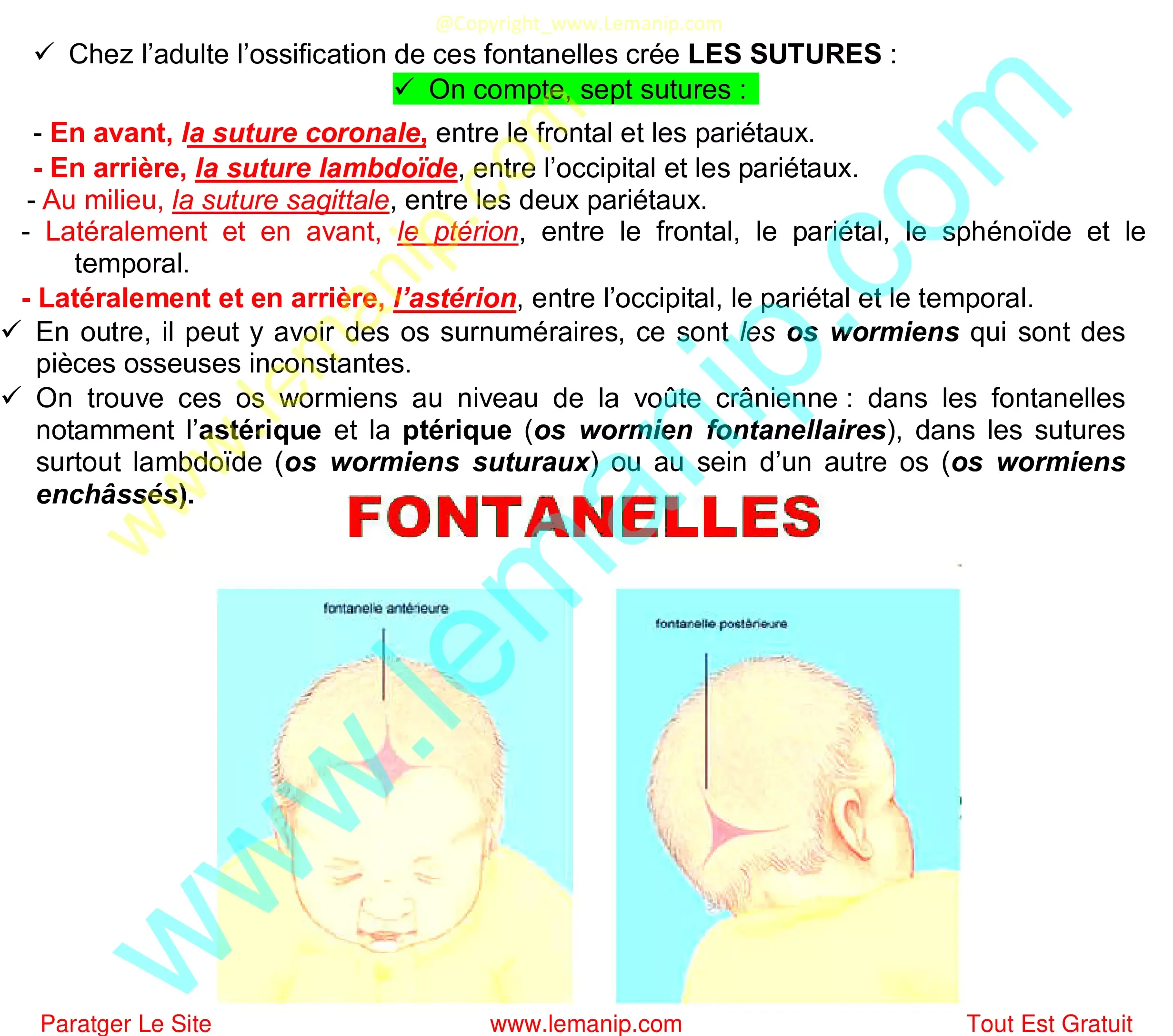 Fontanelles