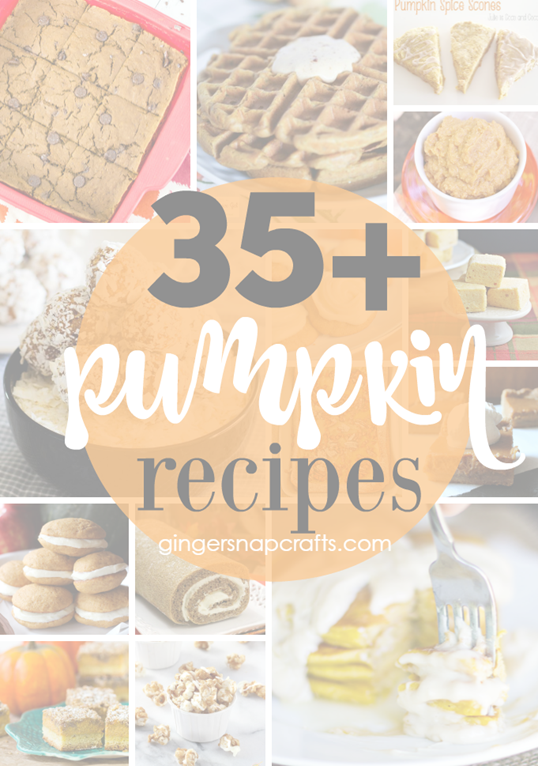 35  Pumpkin Recipes at GingerSnapCrafts.com