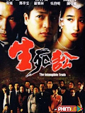 Movie Sự Thật Vô Hình - The Intangible Truth (1994)