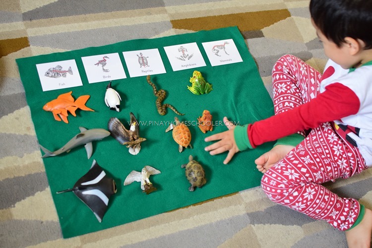 Montessori Vertebrate Sorting Activity Cards