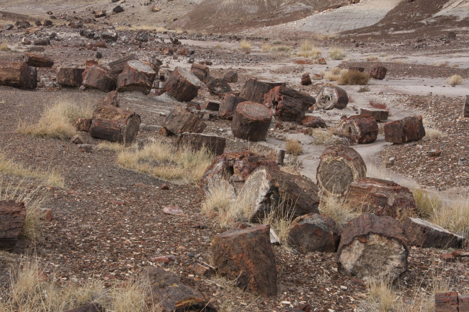 rocks all over the place.