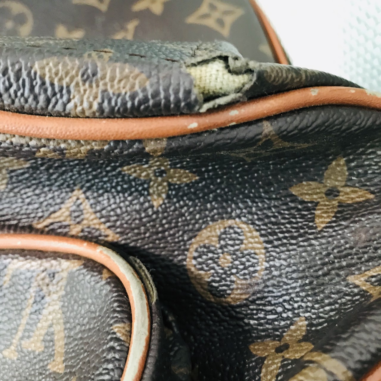 Louis Vuitton Monogram Garment Bag