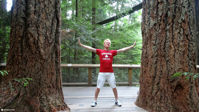 between two giant trees at the Capilano Suspension Bridge in North Vancouver, Canada 