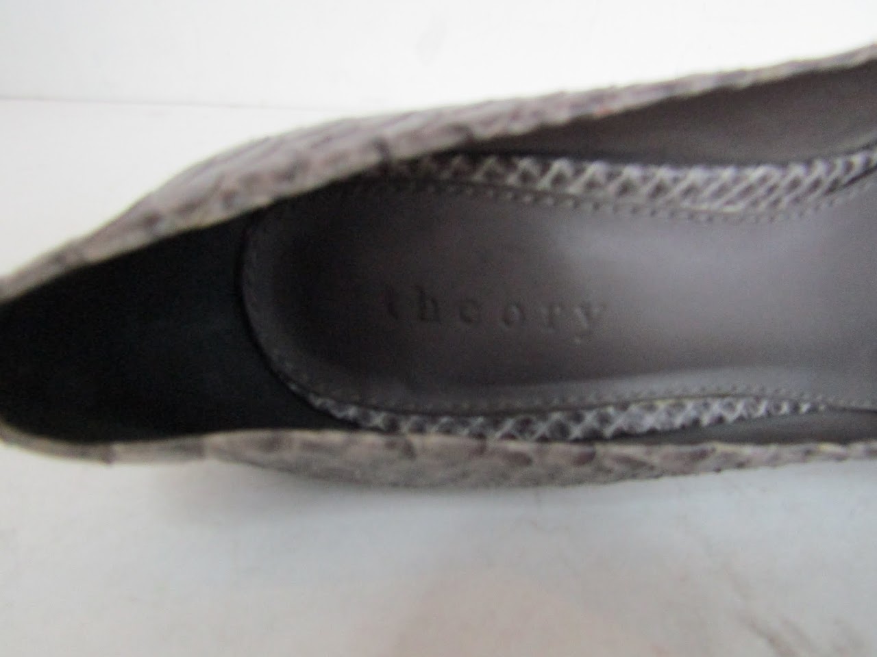 Theory Python Pumps