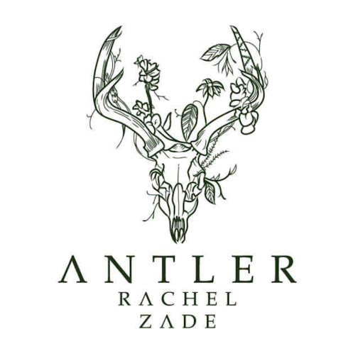 Antler Hair Designs logo