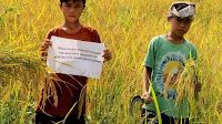 Petani Maros Tetap Maksimalkan Hasil Panen Meskipun Dibulan Ramdhan dan Pandemi Covid 19