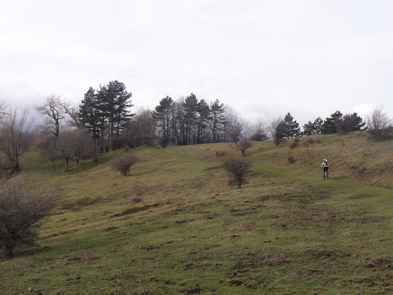 DSC04931.JPG