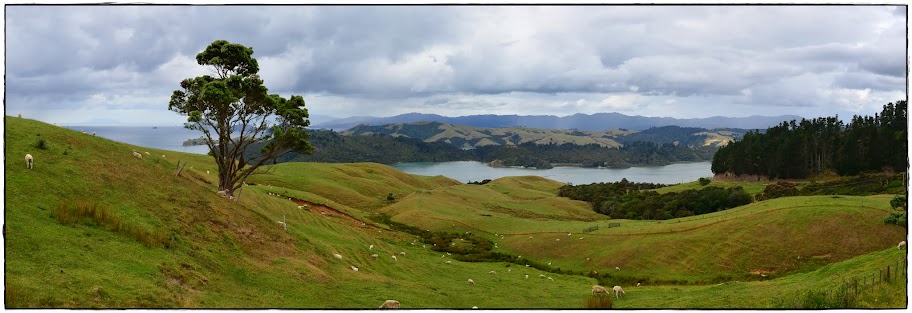 De Rotorua a Coromandel pasando por Hobbiton - Te Ika ā Maui (Nueva Zelanda isla Norte) (17)