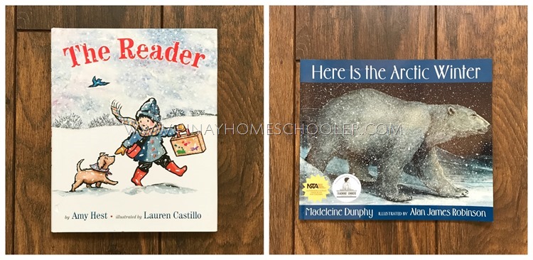 Collection of Winter Books for Kids