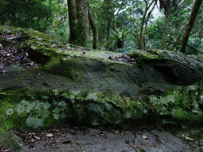 2014_0101-0105 萬山神石、萬山岩雕順訪萬頭蘭山_0475