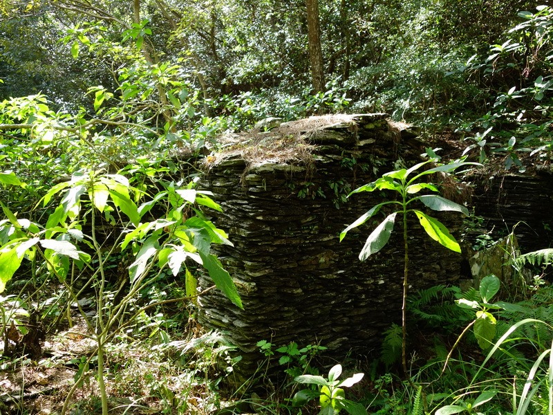 2014_0101-0105 萬山神石、萬山岩雕順訪萬頭蘭山_0062