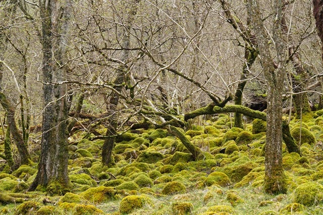 walk round Ennerdale lake