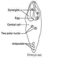 Solution Image