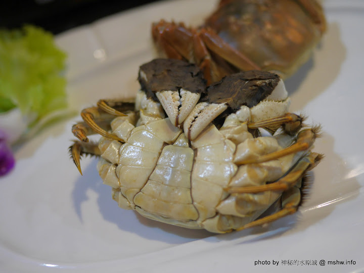 【食記】台中海鮮-拾八鮮原味海鮮燒物@南屯惠文國小&惠來公園 : 鮮味滿點好食在,台中聚餐下酒.晚餐宵夜新選擇! 區域 南屯區 台中市 台式 合菜 宵夜 居酒屋 晚餐 海鮮 火鍋/鍋物 生魚片 飲食/食記/吃吃喝喝 