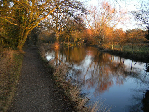 DSCF3009 Winter sunset on the Basingstoke Canal