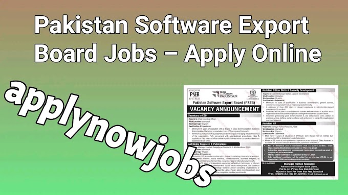 Pakistan Software Export Board Jobs – Apply Online