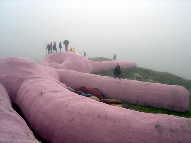 O coelho rosa gigante de Colleto Fava