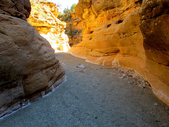 Blind Canyon narrows