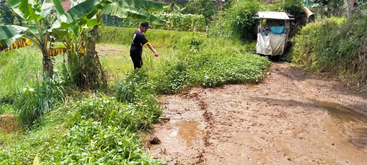 Puluhan Rumah Terancam Pergerakan Tanah Di Curugkembar Sukabumi