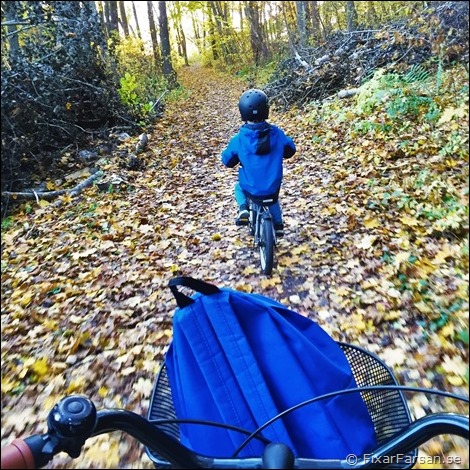 4-åring-på-MTB