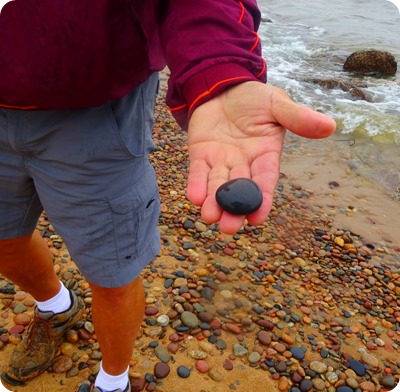 Petosky stones