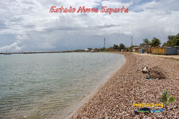 Playa Punta de Piedras NE122; Estado Nueva Esparta, Tubores