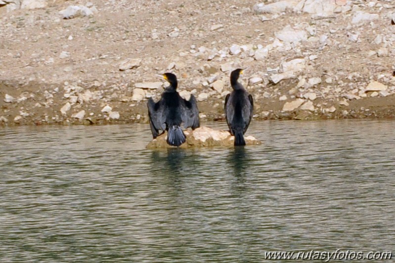 Embalse del Fresnillo - Tajo de la Ermita