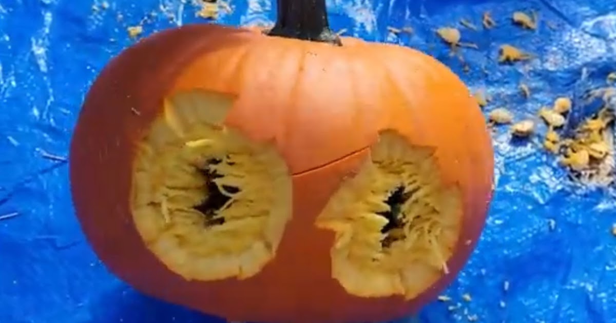 AR-15 vs Pumpkins!!