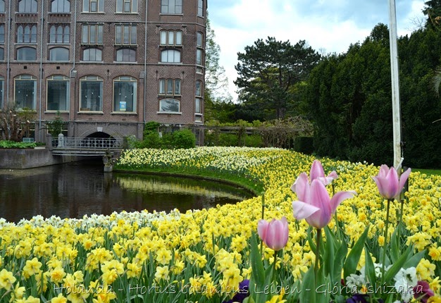 Glória Ishizaka - Hortus Botanicus Leiden - 6