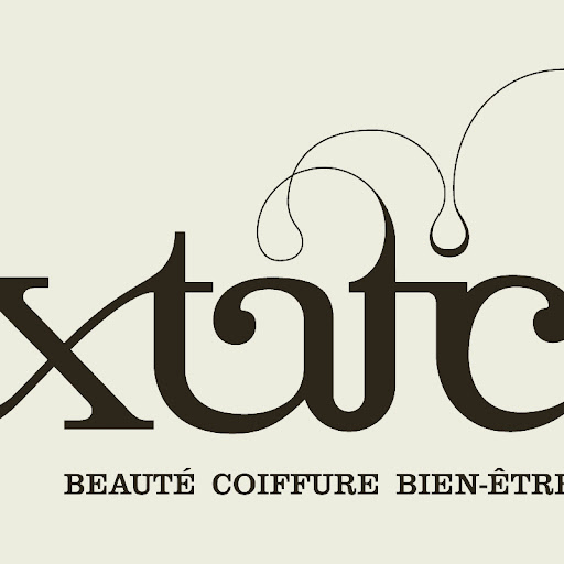 Extatic logo