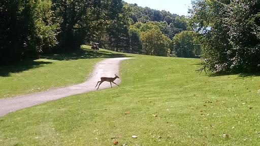 Golf Course «City of Dayton Golf», reviews and photos, 2917 Berkley St, Dayton, OH 45409, USA