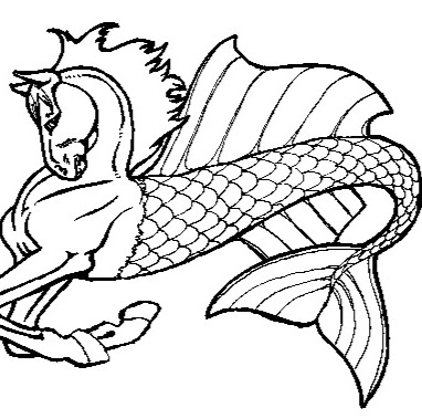 Sea Horse Training, L.L.C. logo