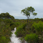 Views across the Awabakal Nature Reserve (391889)