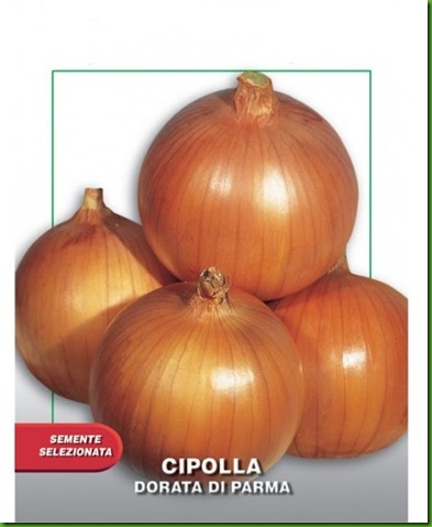 cipolla-dorata-di-parma