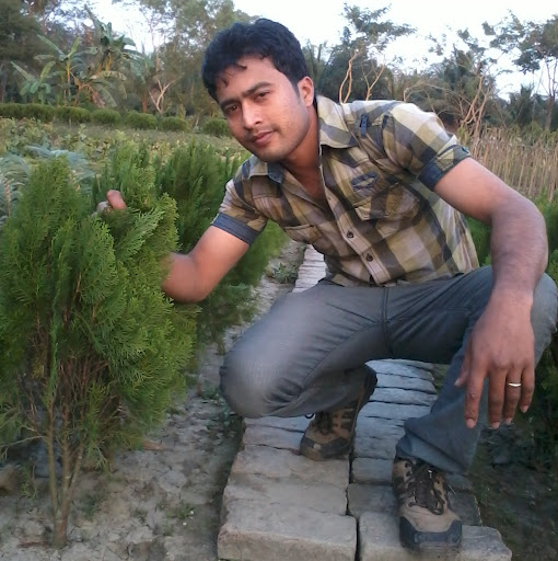 Md Mehedi